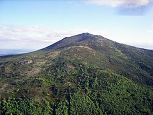 flora fauna de la sierra
