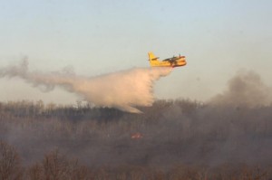 El incendio de Navasfrías tras calcinar 30 hectáreas de pino y roble, por fin controlado